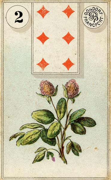 Lenormand Clover Card Meaning Combinations Phuture Me